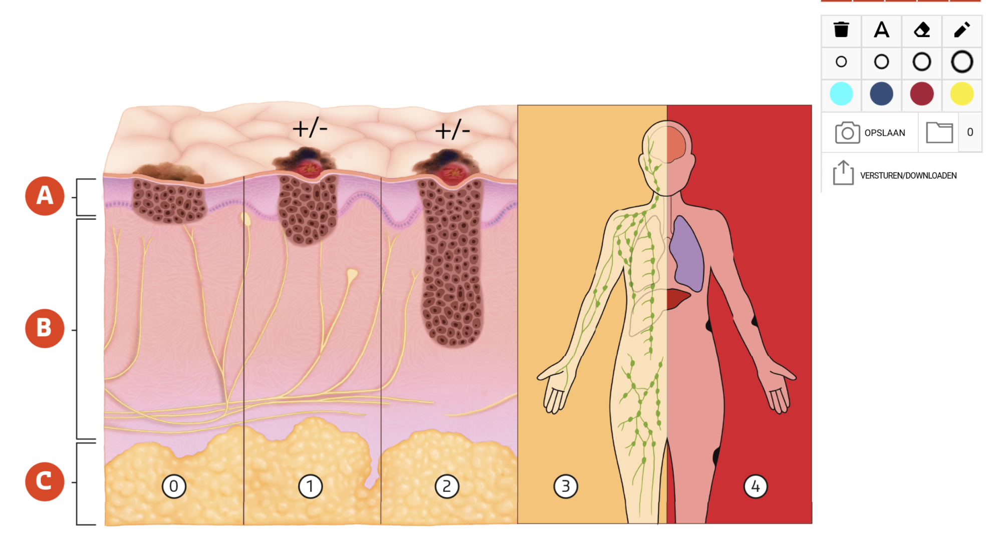 Schermafbeelding 2023 01 18 Om 22.58.32