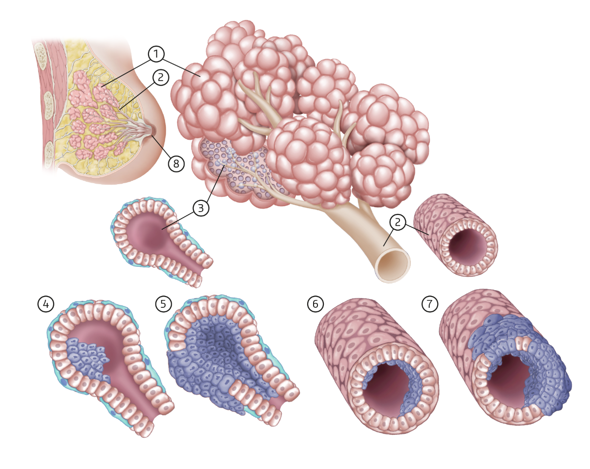 Scherm Afbeelding 2023 02 03 Om 14.43.35