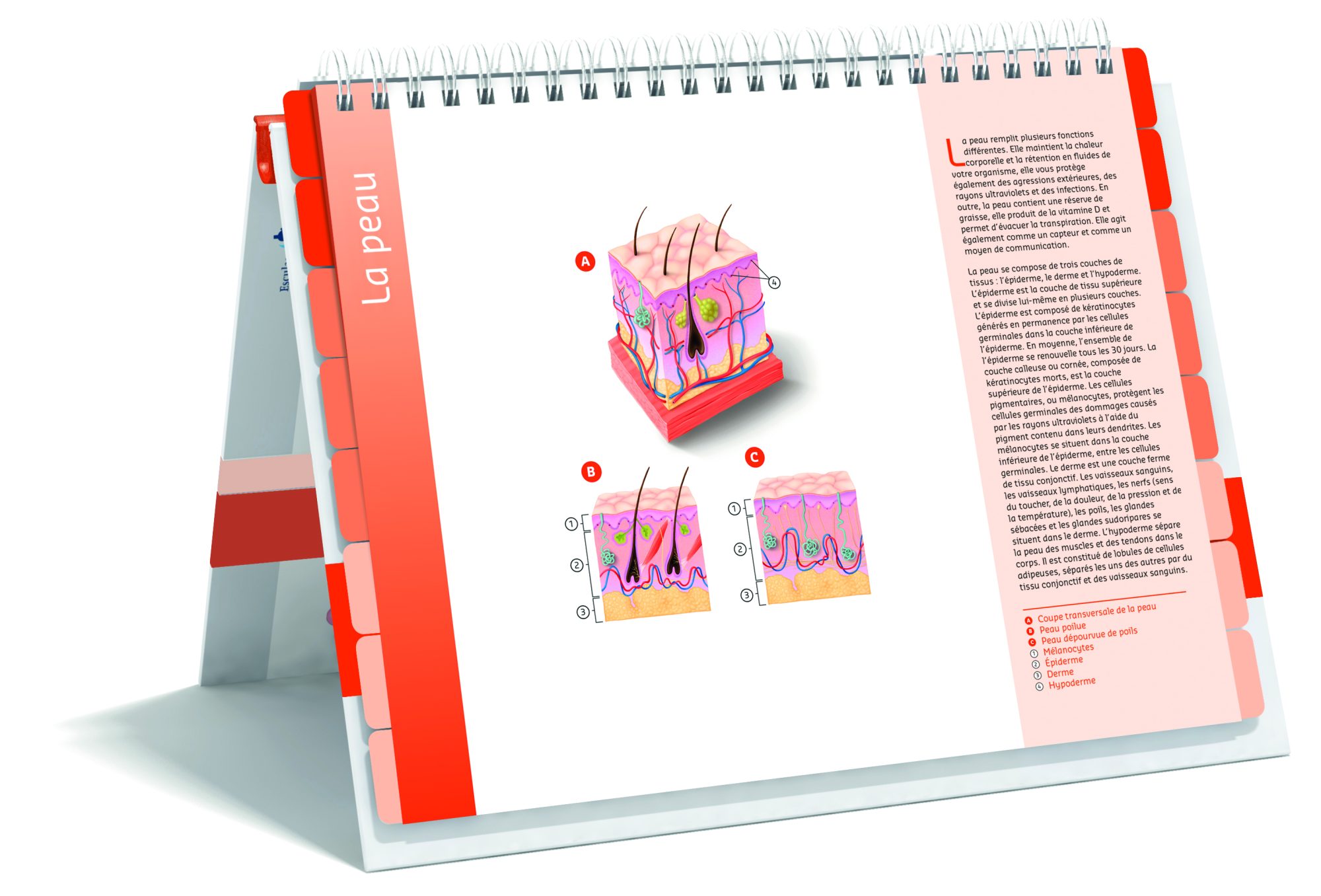 zorgatlas-Melanoom-frans